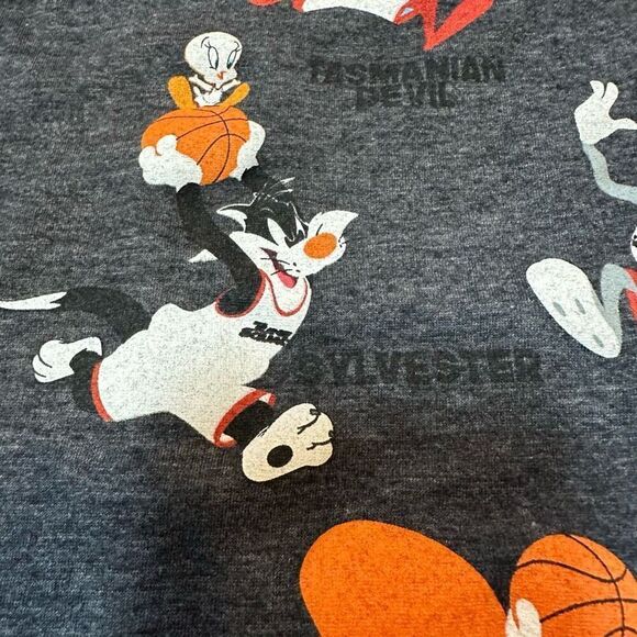 Space Jam Short Sleeve Gray T-shirt | Youth Size XL - Picture 4 of 13